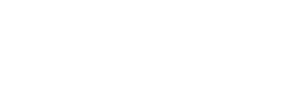 Digital Disruptors